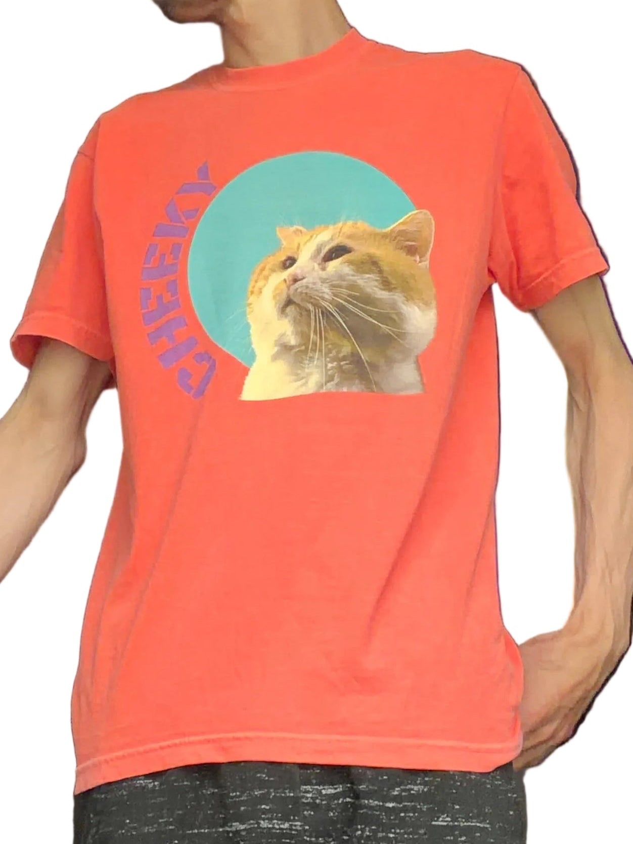 Human wearing cat graphic tshirt. Cat is an orange tomcat with large jowls with a text that reads “cheeky” arched vertically around a cyan circle
